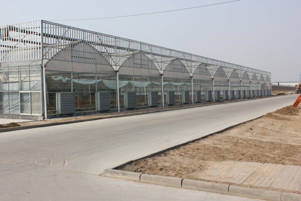 連棟溫室大棚