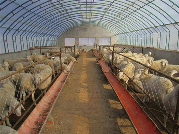 溫室養(yǎng)殖大棚