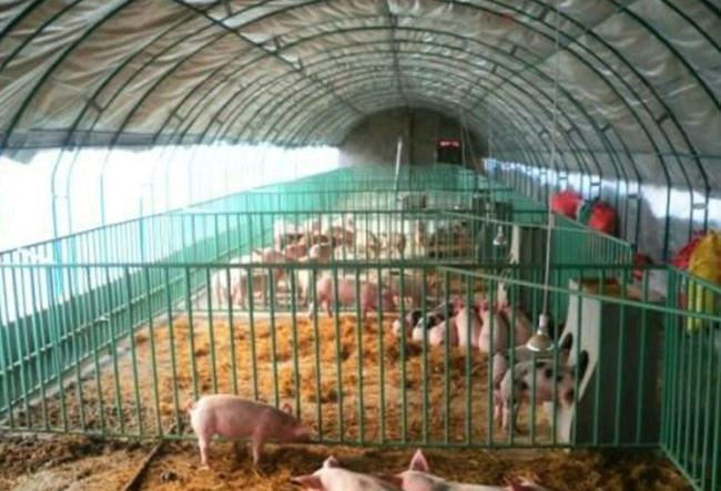 溫室養(yǎng)殖大棚