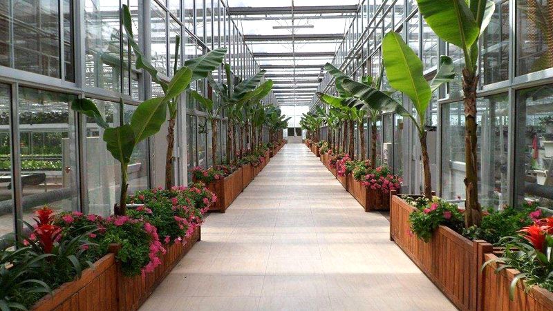 生態(tài)溫室餐廳